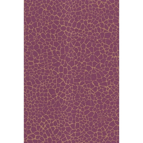 ab095346f2a606495d9a1bfe5f4e13d5