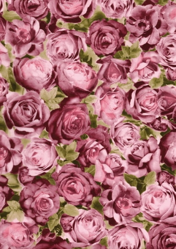 1409ac6e83fc2ac0bb6ee19722917819