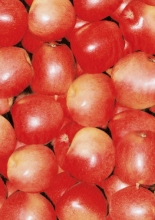 Papier do decoupage Czerwone jabłka30 x 40 cm FDA491