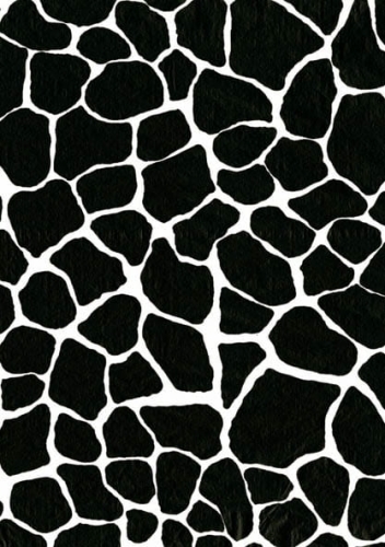 75e2e73e89699463622f7d8e15f24e07