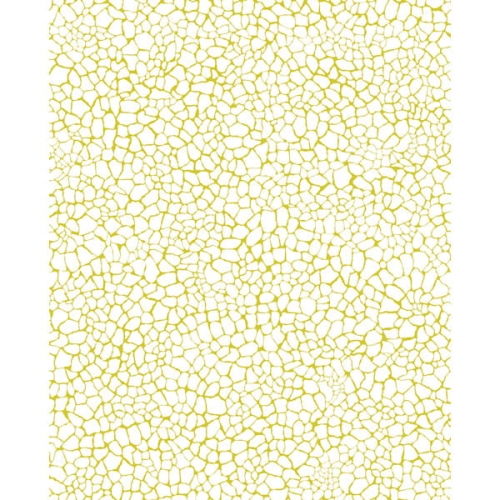 aa00621a9a7f484d54703ea6ff43b465