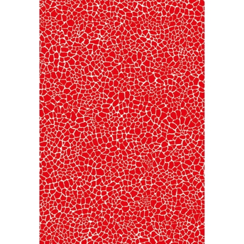 f56ea515cfa24b5e2272e974c28c8102