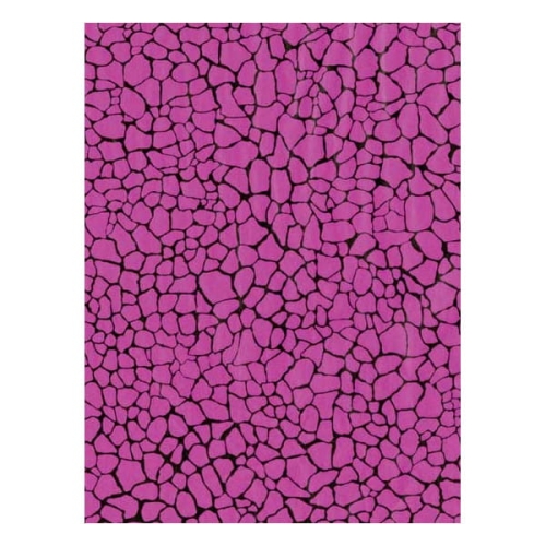 67390df5566f773ef6fbd81fbcbbd13b