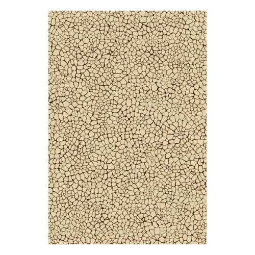 1981a7603416596a5700e0448acd2913