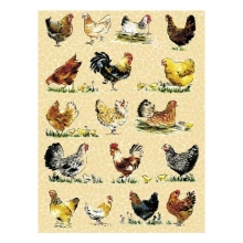 Papier do decoupage Kury i koguty 30 x 40 cm. FDA559