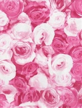 Papier do decoupage 30 x 40 cm FDA573