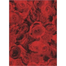 Papier do decoupage 30 x 40 cm FDA574